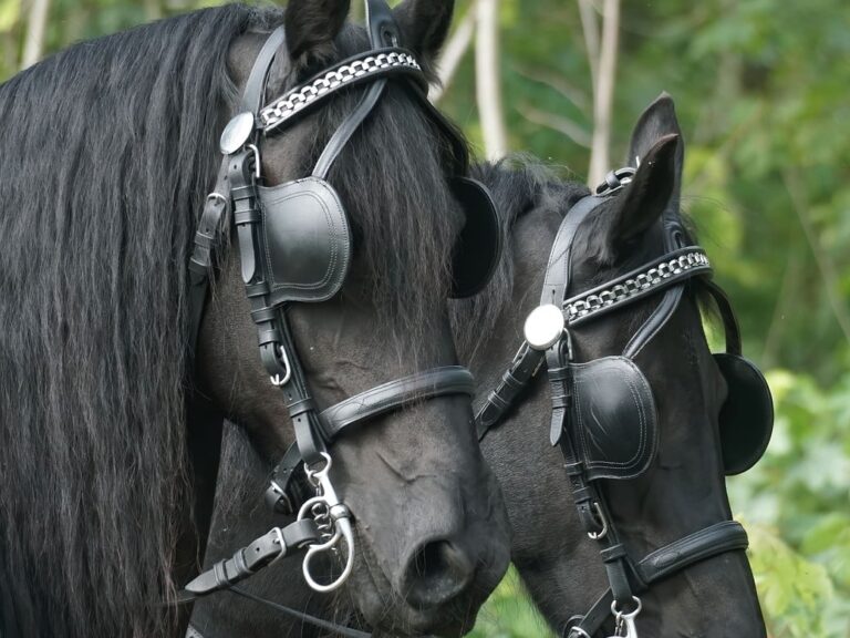 Bankers, Startups and the problem with Profit