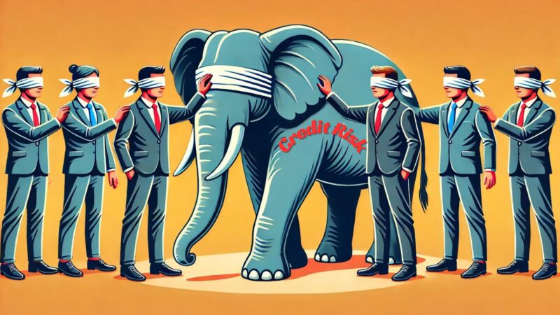 Biases and Fallacies in Credit Risk Assessment